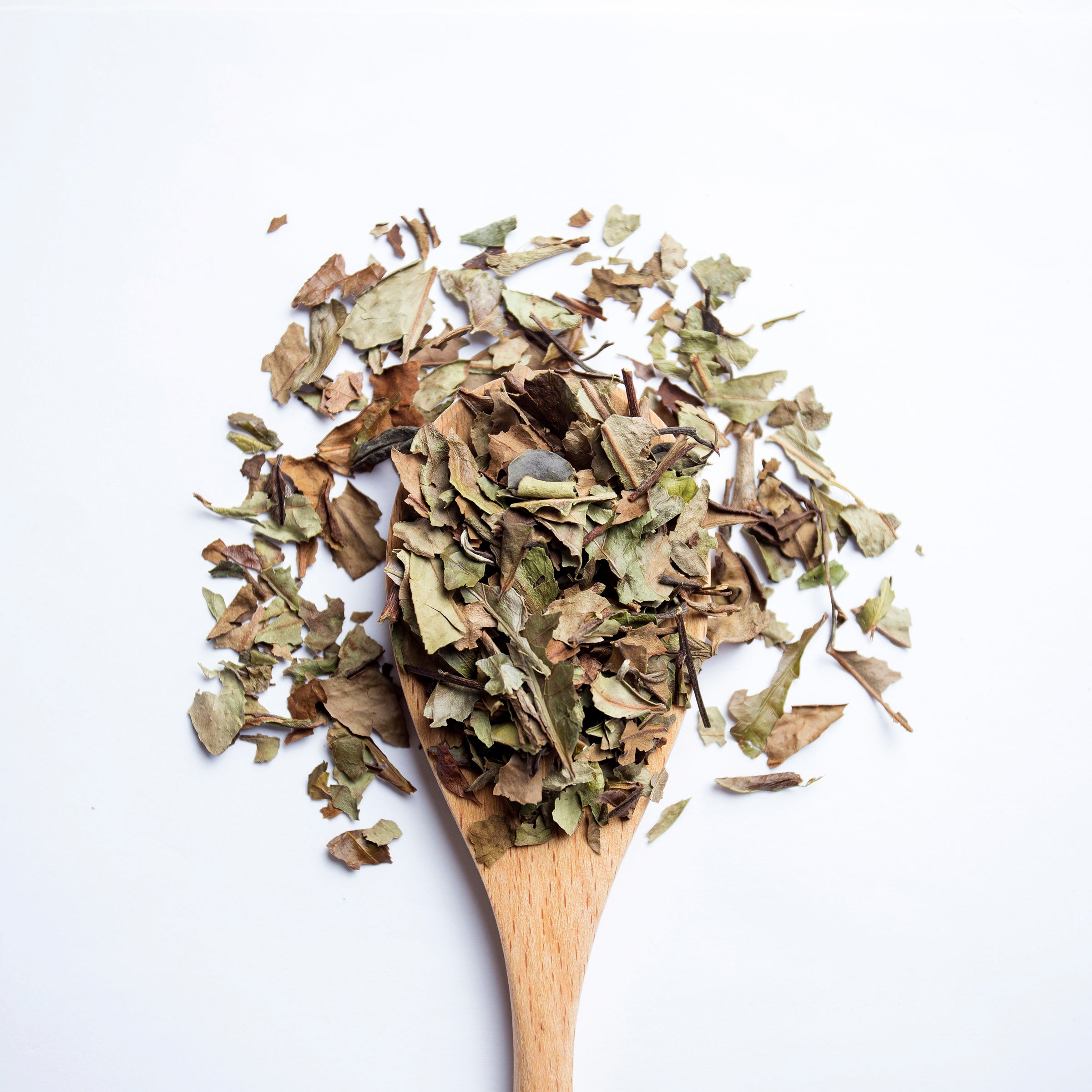 Organic Elderberry Elixir